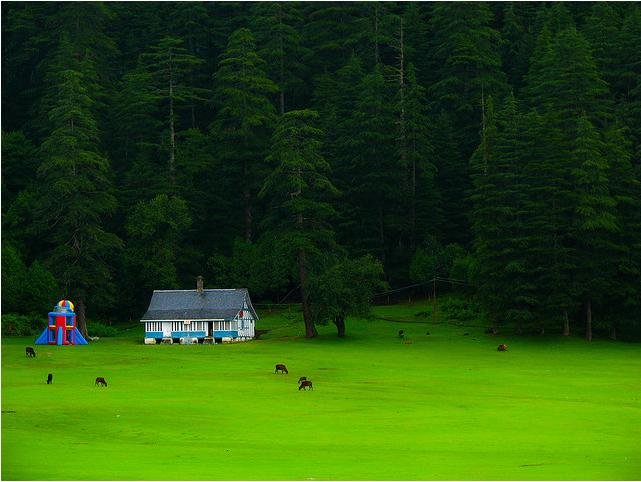 himachal4