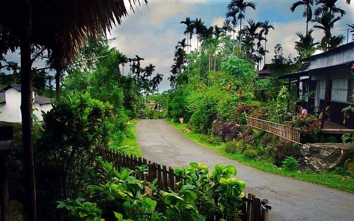 Kaziranga2