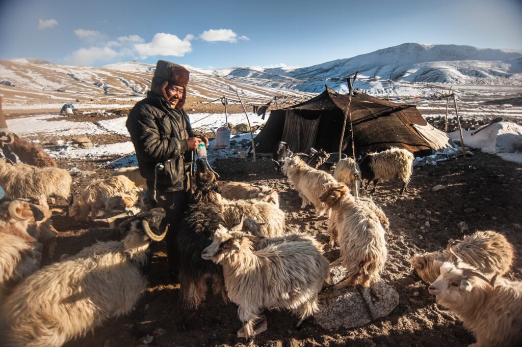 Lehladakh3