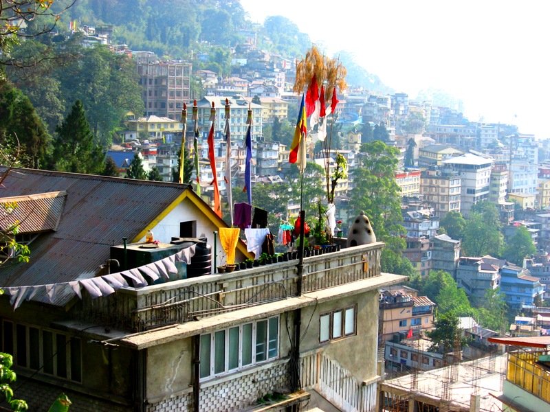 Pelling3