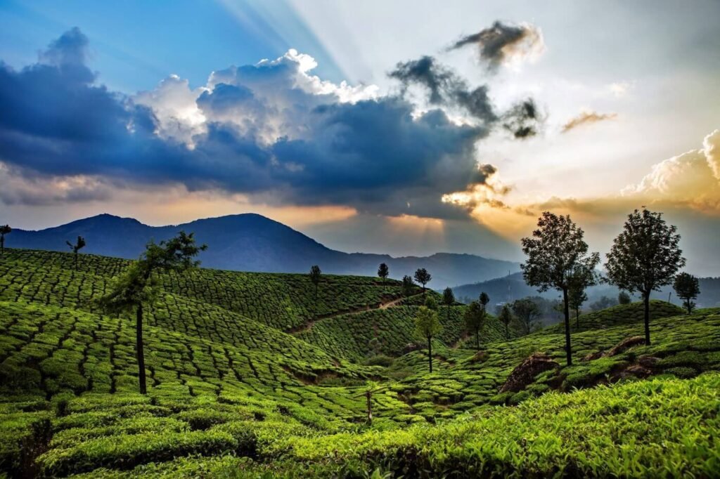 Thekkady5