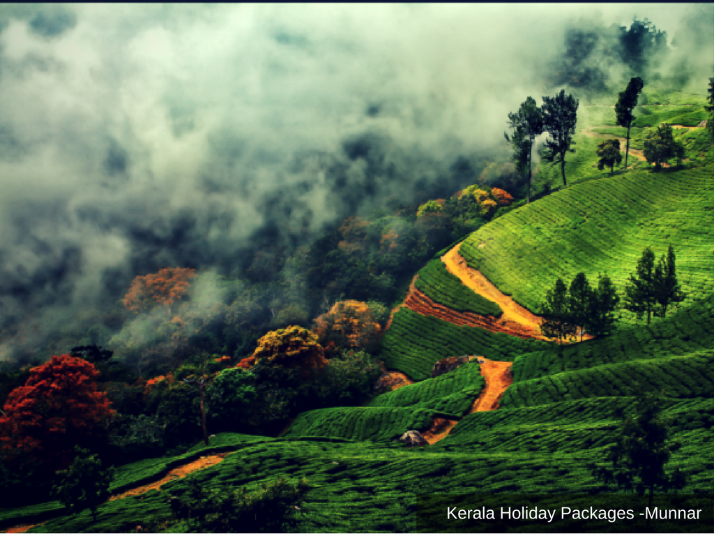 Thekkady6