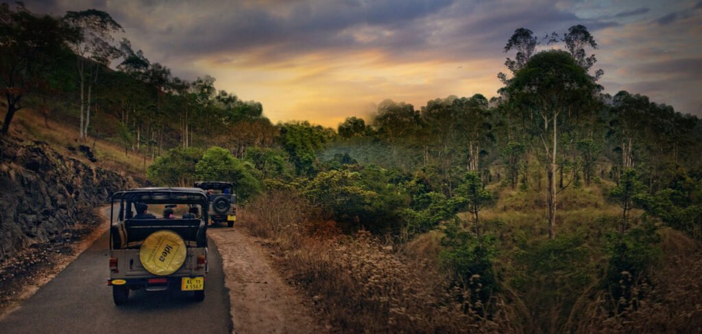 Thekkady8