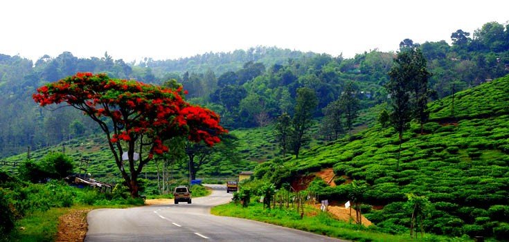 Thekkady9