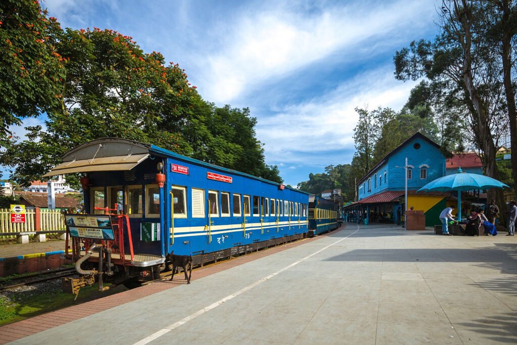 ooty4