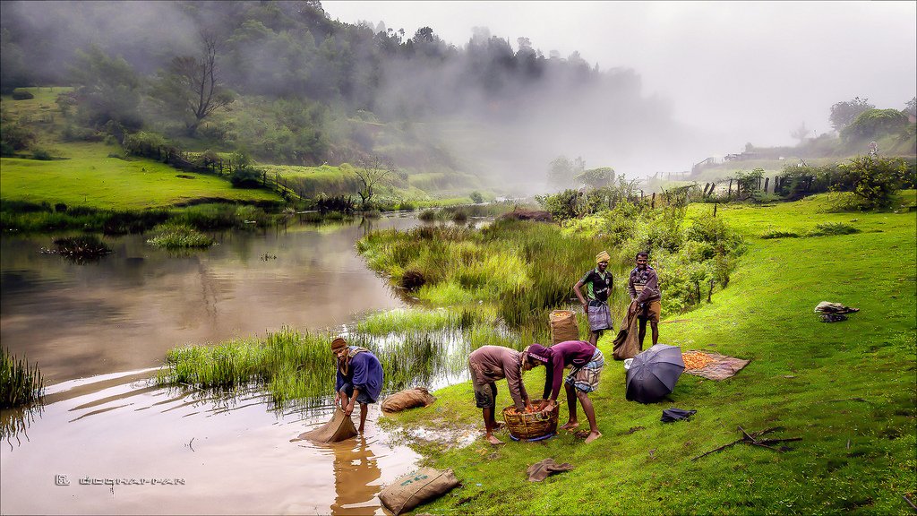 ooty7