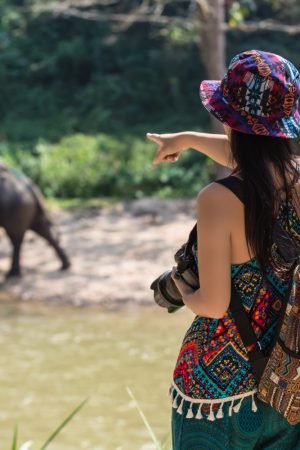 Wildlife t